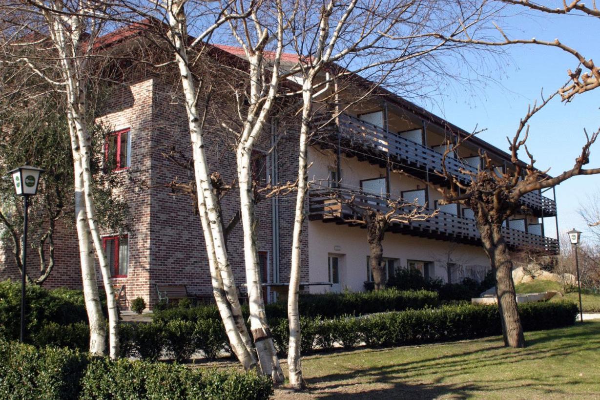 Hotel Willy Gemona del Friuli Exterior foto